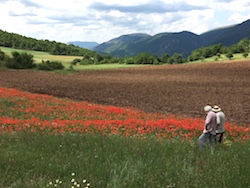 Photographers waiting for the light to change in a poppy field during the Sibillini photo workshop
